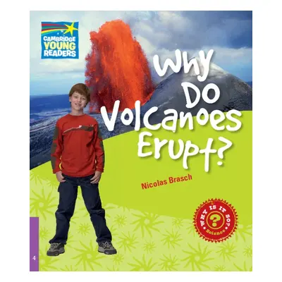 Cambridge Factbooks 4 Why Do Volcanoes Erupt? Cambridge University Press