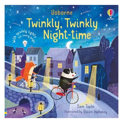 Twinkly Twinkly Night Time Usborne Publishing