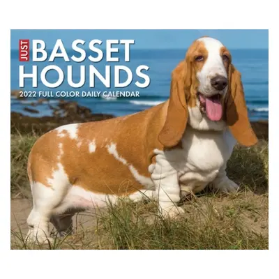 Basset Hounds 2022 Box Calendar - Dog Breed Daily Desktop - výprodej nezadán