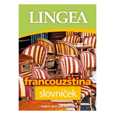 Francouzština slovníček Lingea