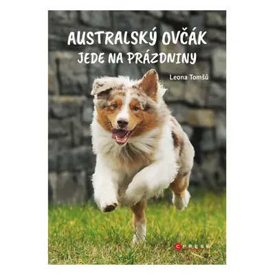 Australský ovčák jede na prázdniny CPRESS