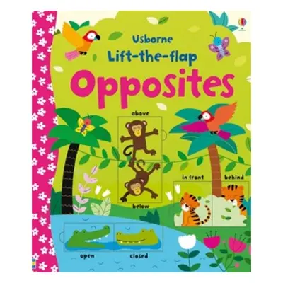 Lift-the-flap Opposites Usborne Publishing