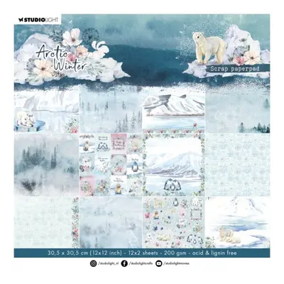 Scrapbookový blok Arctic Winter, 24 l. - Polární zima Aladine