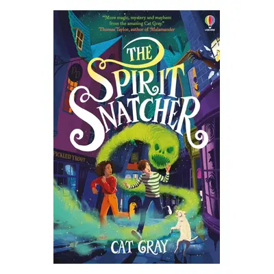 The Spirit Snatcher Usborne Publishing