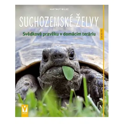 Suchozemské želvy - Svědkové pravěku v domácím teráriu Jan Vašut s.r.o.