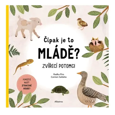 Čípak je to mládě? ALBATROS