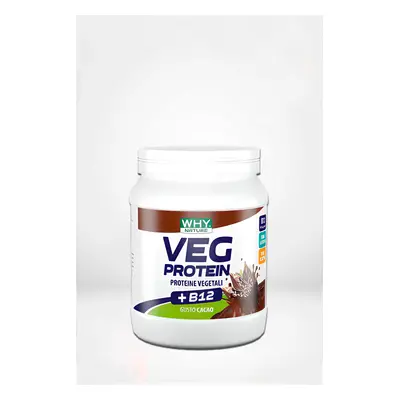 Whysport Veg Protein - veganský protein - 450 g Příchuť: Kakao