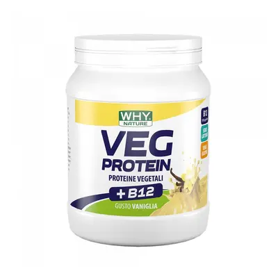 Whysport Veg Protein - veganský protein - 450 g Příchuť: Vanilka