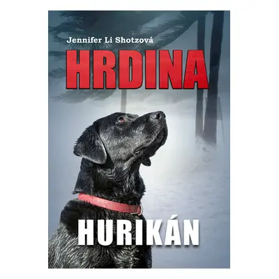 Hrdina: Hurikán (Jennifer Li Shotzová)