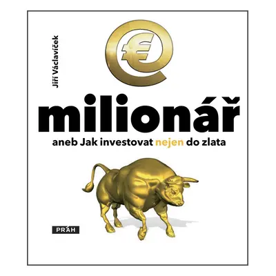 E-milionář (Jiří Václavíček)