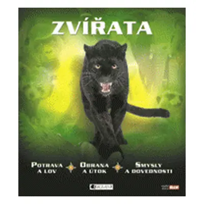 Zvířata – potrava a lov, obrana a útok, smysly a dovednosti (Miranda Smith)