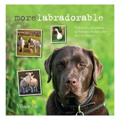 Morelabradorable - Follow the adventures of Barnaby the labrador and his friends (Villager Jim) 