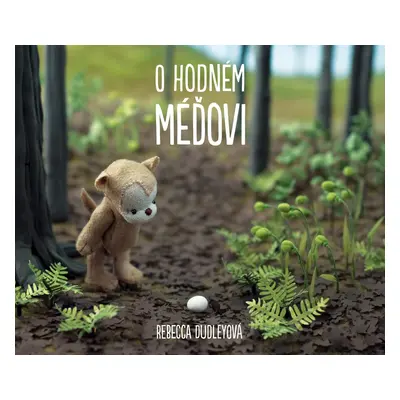 O hodném méďovi (Rebecca Dudleyová)