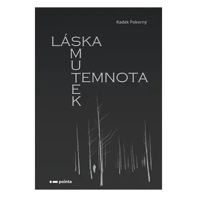 Láska, smutek, temnota (Radek Pokorný)