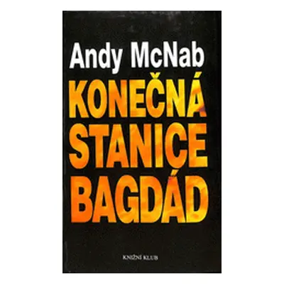 Konečná stanice Bagdád. Skutečný příběh osmi britských válečných hrdinů. (McNab, Andy,Houba, Mic