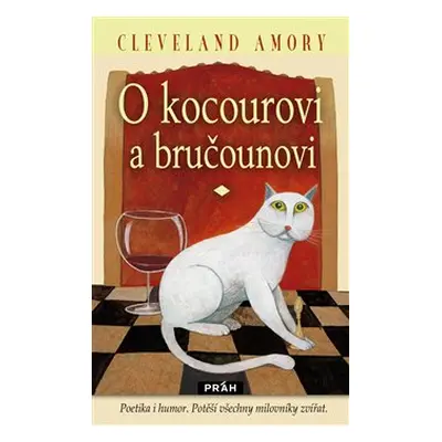 O kocourovi a bručounovi (Amory Cleveland)