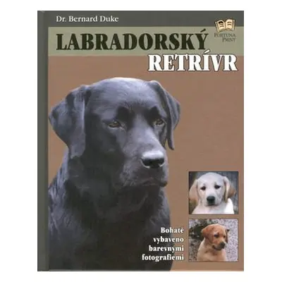 Labradorský retrívr (Renee Low)