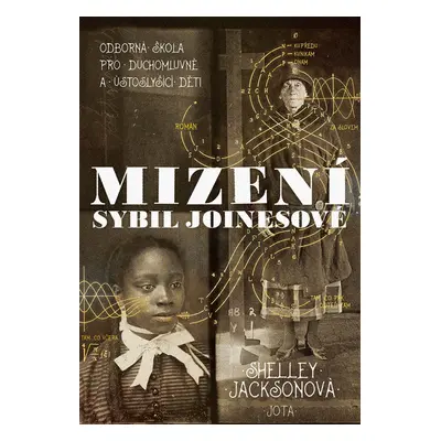 Mizení Sybil Joinesové (Jackson Shelley)