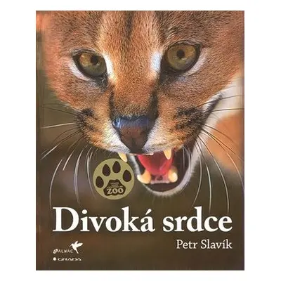 Divoká srdce (Petr Slavík)