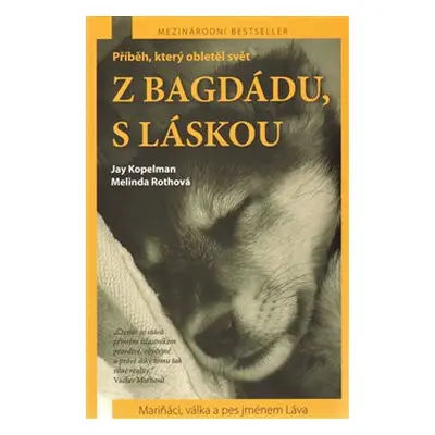 Z Bagdádu, s láskou (Kopelman, Jay)