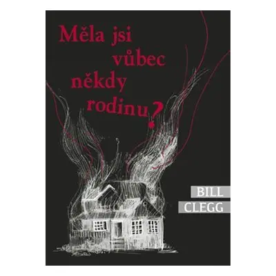 Měla jsi vůbec někdy rodinu? (Bill Clegg)