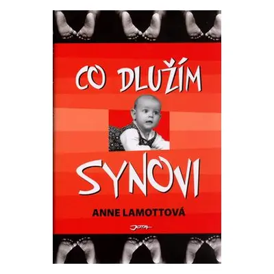 Co dlužím synovi (Lamott Anne)