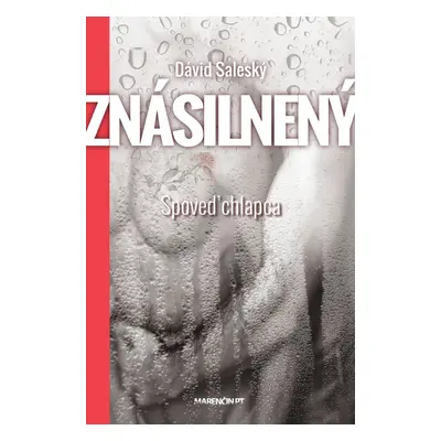 Znásilnený - Spoveď chlapca (Dávid Saleský) (slovensky)