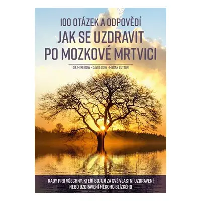 100 otázek a odpovědí, jak se uzdravit po mozkové mrtvici - Rady pro všechny, kteří bojují za sv