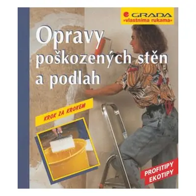 Opravy poškozených stěn a podlah (Max Direktor)