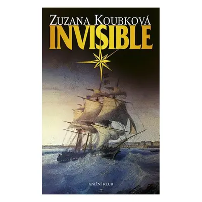 Invisible (Zuzana Koubková)