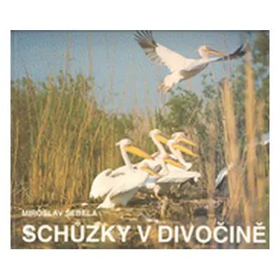 Schůzky v divočině (Miroslav Šebela)