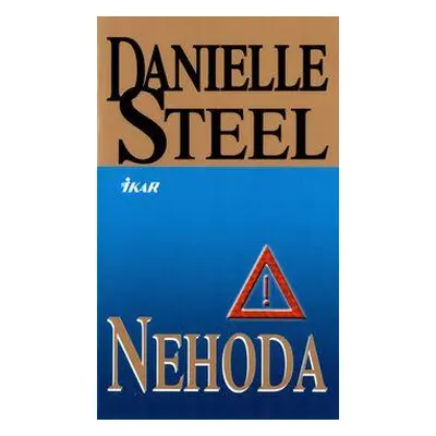 Nehoda (Danielle Steel)