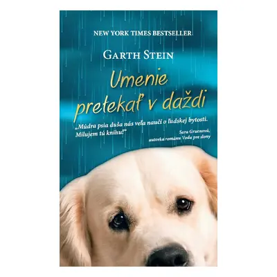 Umenie pretekať v daždi (Garth Stein) (slovensky)