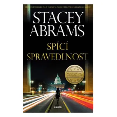 Spící spravedlnost (Stacey Ambrams)