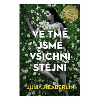 Ve tmě jsme všichni stejní (Julia Heaberlin)