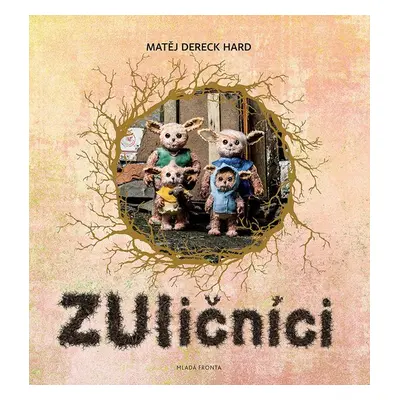 ZUličníci (Matěj Dereck Hard)