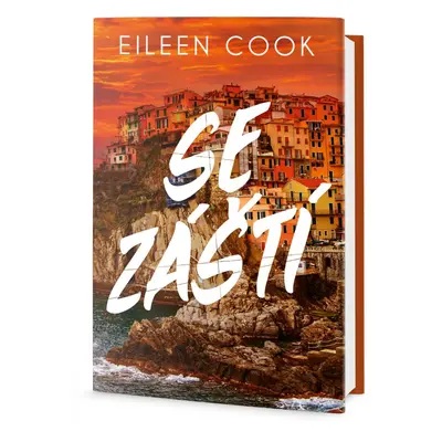 Se záští (Eileen Cook)