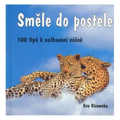 Směle do postele - 100 tipů k nažhavení vášně (Eva Gizowska)