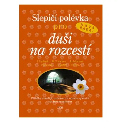 Slepičí polévka pro duši na rozcestí (Jack Canfield)