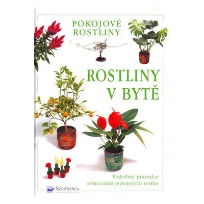 Rostliny v bytě