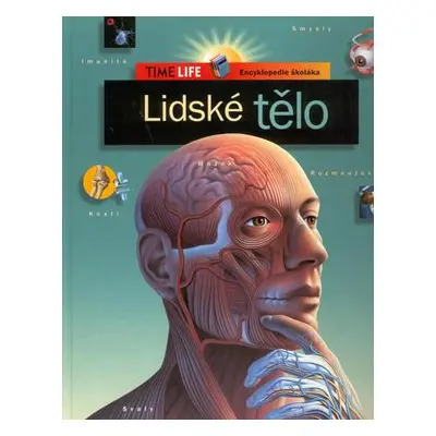 Lidské tělo /TL/-Enc. školáka (Steinerová Jana)