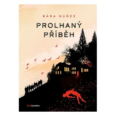 Prolhaný příběh (Barbora Nuňez)