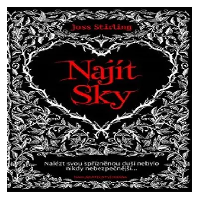 Najít Sky (Stirling Joss)