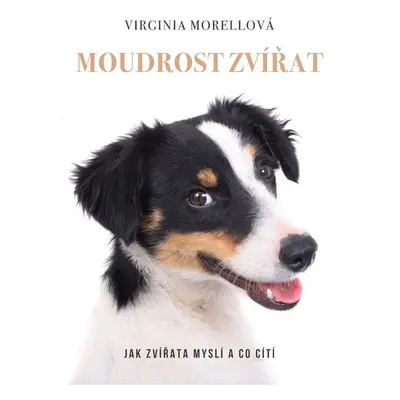 Moudrost zvířat (Virginia Morell)