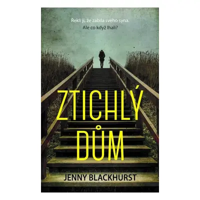 Ztichlý dům - Jenny Blackhurst (Jenny Blackhurst)