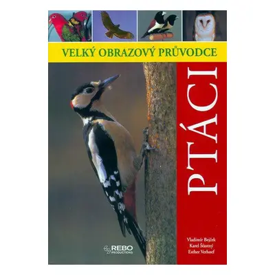 Ptáci - Velký obrazový průvodce (Vladimír Bejček)