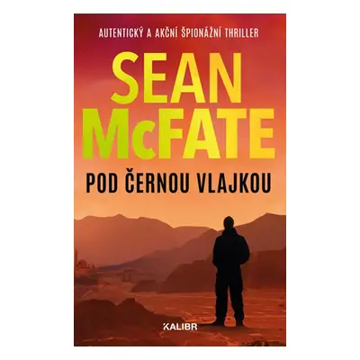 Pod černou vlajkou (Sean McFate)