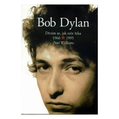 Bob Dylan - Dívám se, jak teče řeka 1966-1995 (Williams, Donna)