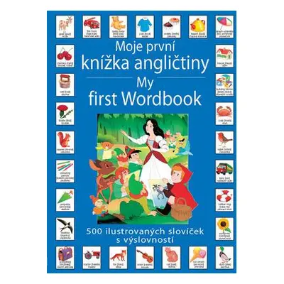 Moje první knížka angličtiny / My first Wordbook (Gool A van)