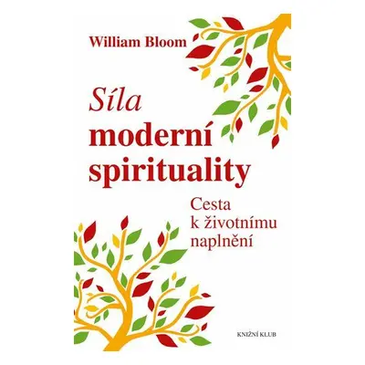 Síla moderní spirituality (Bloom William)